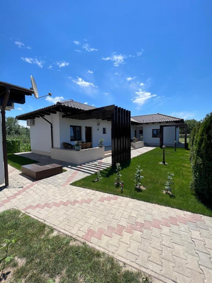 Pensiunea Izora Crisan  Exteriör bild